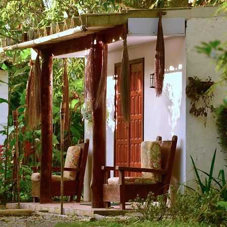 Chalé Privativo à beira do rio Jaguareguava na Mata Atlântica em Bertioga SP Villa Exterior foto