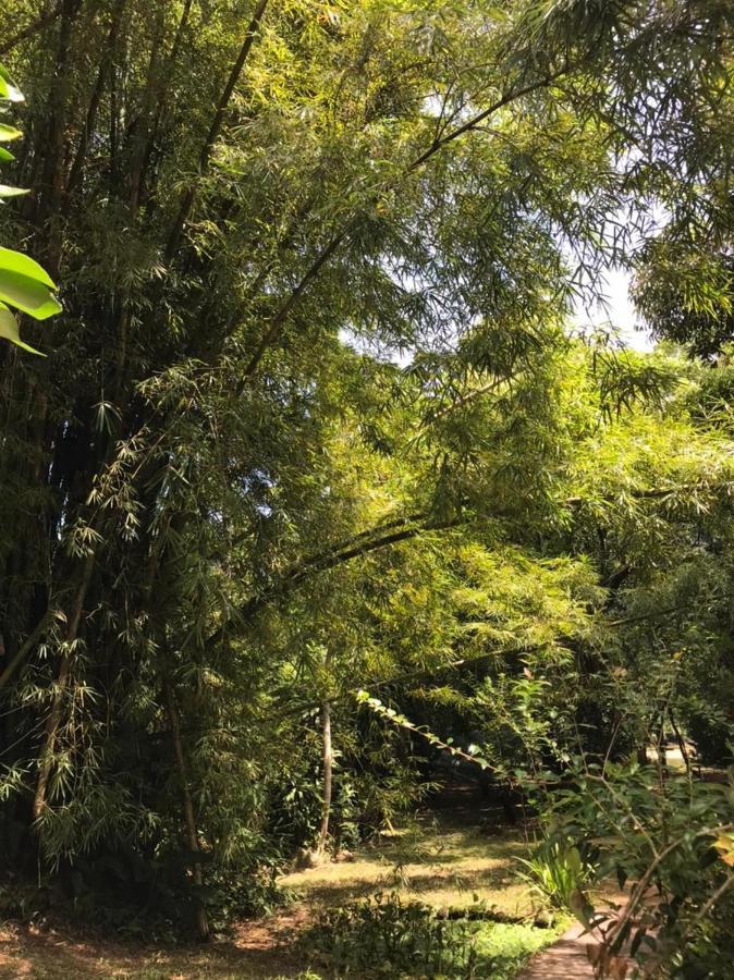 Chalé Privativo à beira do rio Jaguareguava na Mata Atlântica em Bertioga SP Villa Exterior foto