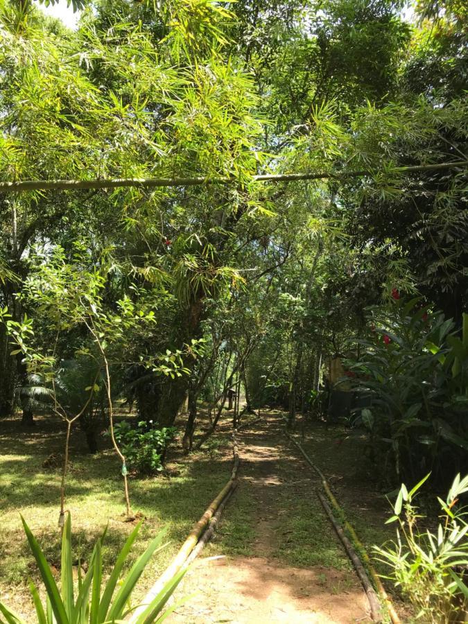 Chalé Privativo à beira do rio Jaguareguava na Mata Atlântica em Bertioga SP Villa Exterior foto